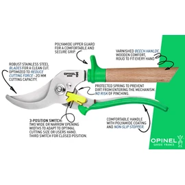 Pruning Shear