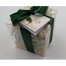 Spa Pure Gardenia Bath Bombs: WHITE GARDENIA GIFT SET with 6 Bath Bomb Fizzies with Shea, Mango & Cocoa Butter, Ultra Moisturizing (14 Oz) Great for Dry Skin, All Skin Types (White Gardenia)