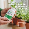 Anti-Bloating Formula – Digestive Enzymes & Herbal Blend for Bloating