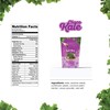 Kale Bros, Kale Chips, Choco Kale, Multi-pack (Pack of 3)