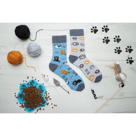 Spox Sox Casual Unisex Funny Crazy Colourful Socks for Men and Women, Cats