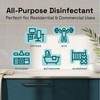 Clean Republic Multi-Purpose Disinfectant, Cleaning Spray, 32 Fluid Ounce Bottle,