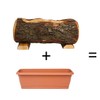 Wooden Trunk with Pot, Real Wood Trunk with Plastic Inner