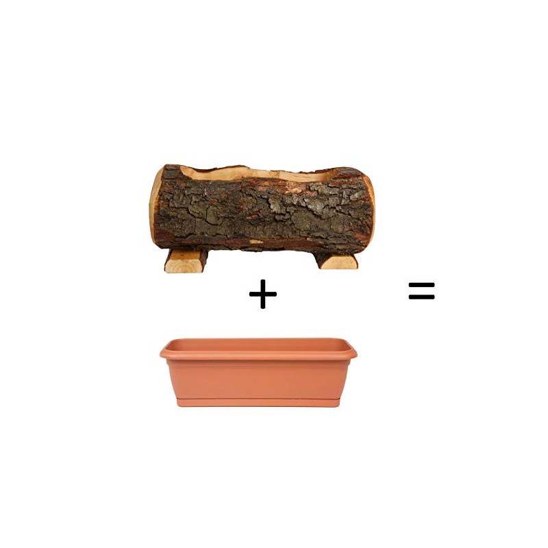 Wooden Trunk with Pot, Real Wood Trunk with Plastic Inner