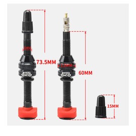 HOUSON 2PCS Bicycle Tubeless Valves, Aluminum Alloy Tubeless Presta Valve Bicycle Valve Adapter Bicycle Valve Extension Tubeless Presta Valve Stem 60mm