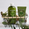 NATURTINT CHP 300ML