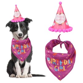 CVDYWDJIE 1 x Pet Saliva Cloth, 1 x Birthday Hat, Triangle Scarf for Dogs and Cats, Pet Birthday Suit, Birthday Party Accessories