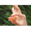 Jet International Carnelian Orgone Tower Buster Piezo Electric EMF Protection