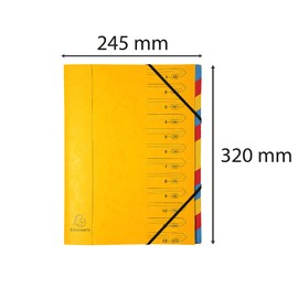 Exacompta 54129E Premium Stapled Folder Made of Extra Strong Colorspan Cardboard DIN A4 12 Full-Colour Colourful Compartments and 2 Elastic Bands with Organisational Print Ring Binder Index Folder