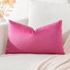 Artscope Luxury Velvet Cushion Covers Decorative Lumbar Pillowcases Soft Solid
