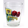 New Jersey Garden State Elements Shot Glass
