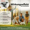 Animalius® Joint Tablets for Dogs Extra Small [For All Dog