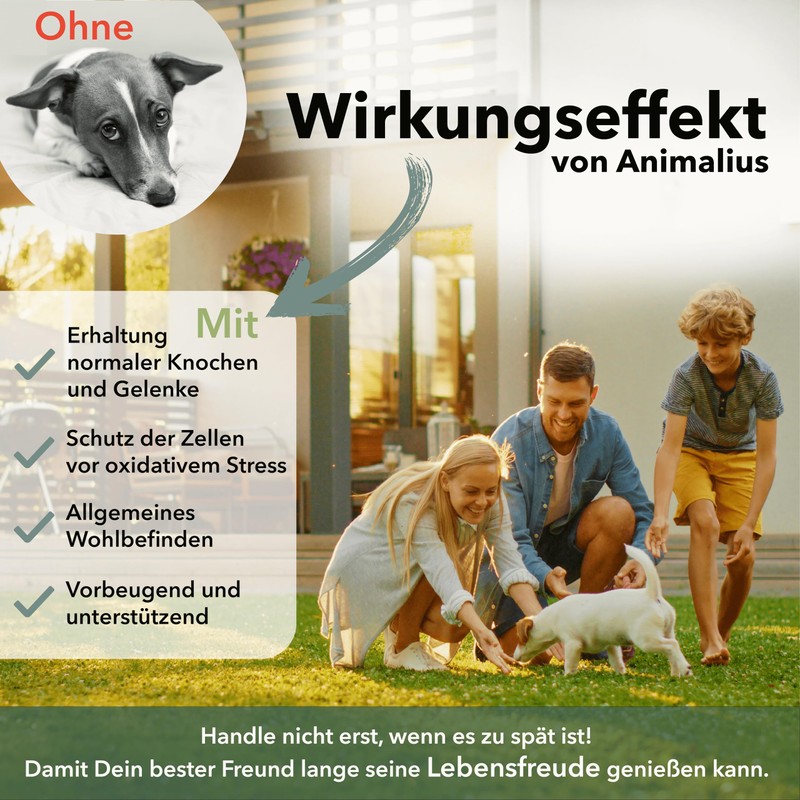 Animalius® Joint Tablets for Dogs Extra Small [For All Dog