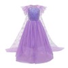 Snow Queen Elsa Princess Costumes for Girls Children Tulle Dress