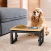 Dog Bowls Elevated, 4 Height & Angle Adjustable Raised Dog