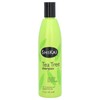 Shikai Tea Tree Shampoo, 12 fl oz (355 ml)