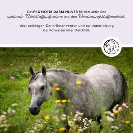 Annimally Probiotika Pulver für Pferde - 750g Darm Pulver mit Lebendhefe für eine gesunde Darmflora - Darmbakterien zur Darmsanierung beim Pferd, bei Kotwasser & Durchfall