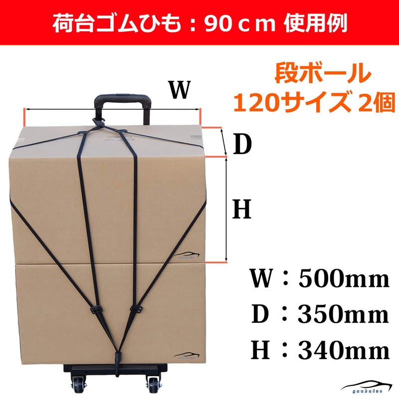 ganbalzo LRS-01 Cargo Elastic Cord Set of 2 Bicycle Bike