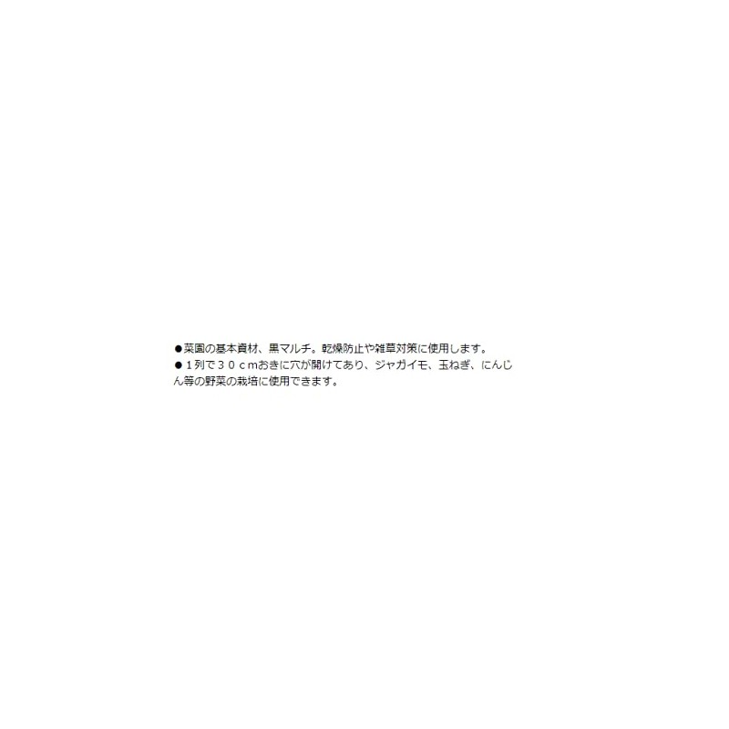daio化成 Home Garden Multi Black 80 Hole 0.02 × 95 × 10 m