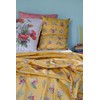 Lazybones Organic Cotton Pillowcase Set - Summerland