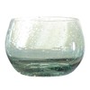 Santa Barbara Design Studio Seeded Drinking Glasses, Roly Poly Tumbler,