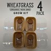 Organic Wheatgrass Premium Grow Kit 4 Pack | Whetagrass Juice