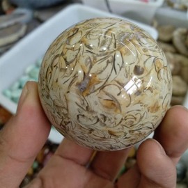 XUQULI Dinosaur Bones Quartz Crystal Ball Natural Fossil Gemstone Magic Sphere Reiki Healing Great Choice for Home Decoration