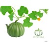 VICSKY Pumpkin Cast Iron Teapot (40 oz/1200 ml), Cute Natural
