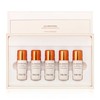 Re:NK Cell Brightening Extreme Powder Ampoule 4g ​​x 5 / 리엔케이 셀 브라이트닝 익스트림 파우더 앰플 4g x 5
