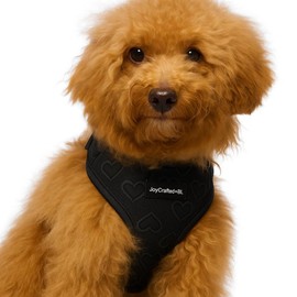 No-Pull, No-Choke Dog Harness & Leash Set – Stylish & Fun – Lightweight, Breathable Neoprene – Unique Heart Pattern (Pink, Blue, Green, Black) – Adjustable for Extra Small to Medium Dogs (Black, M)