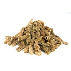 RYMARQUE Wild MOREL Morchella Mushrooms, Sun Dried CAPS (4-8 cm) - No Tails (100 grams)