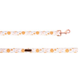 Lionheart glory Premium Dog Collars, Bowtie Dog Collar, Adjustable Heavy Duty Dog Collar with Bow for Small Medium Large Dogs