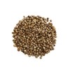 Kampot Pepper Rare Cambodian Peppercorns (White, Spice Jar)