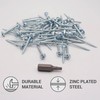 SKIR'CO (Pack of 100) Galvanised Steel 3.0 x 30mm Wood