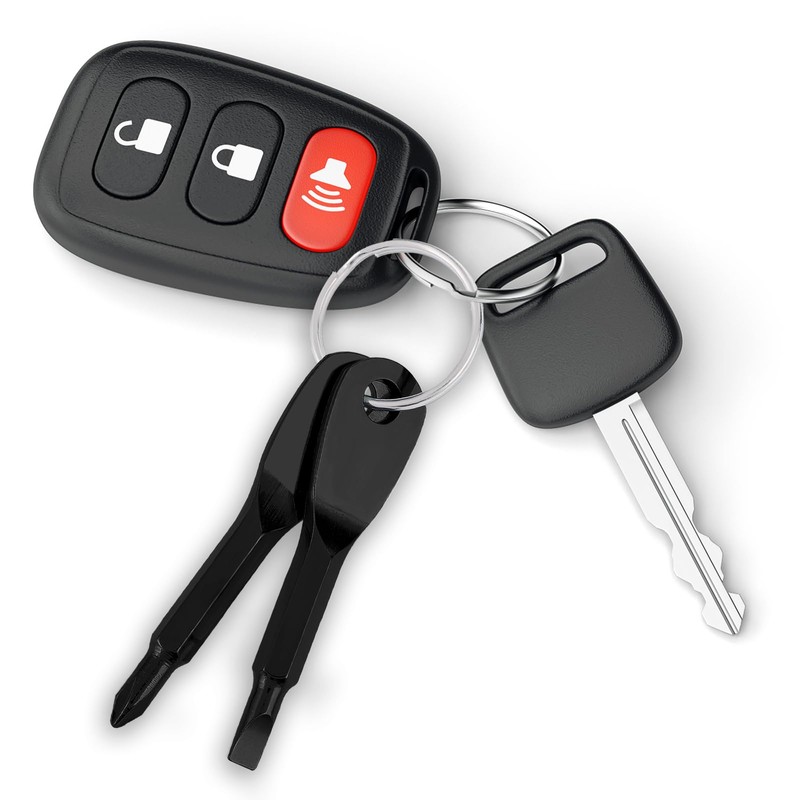 Amaxiu Mini Screwdriver Keychain, 2 Pieces Portable Phillips Flathead Screwdriver