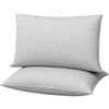Gooeb Flat Ultra Thin Bed Pillows Standard Size Pillow Set