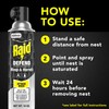Raid Wasp & Hornet Killer Spray (14 Ounce (Pack of