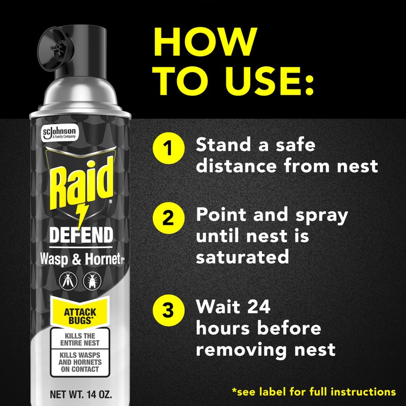 Raid Wasp & Hornet Killer Spray (14 Ounce (Pack of