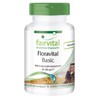 Fairvital Floravital Basic - 6 Bacterial Cultures & Inulin -