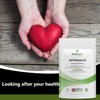 Bodygenix Astragalus 1000mg Capsules Bodygenix UK, Powerful Chinese Supplement High