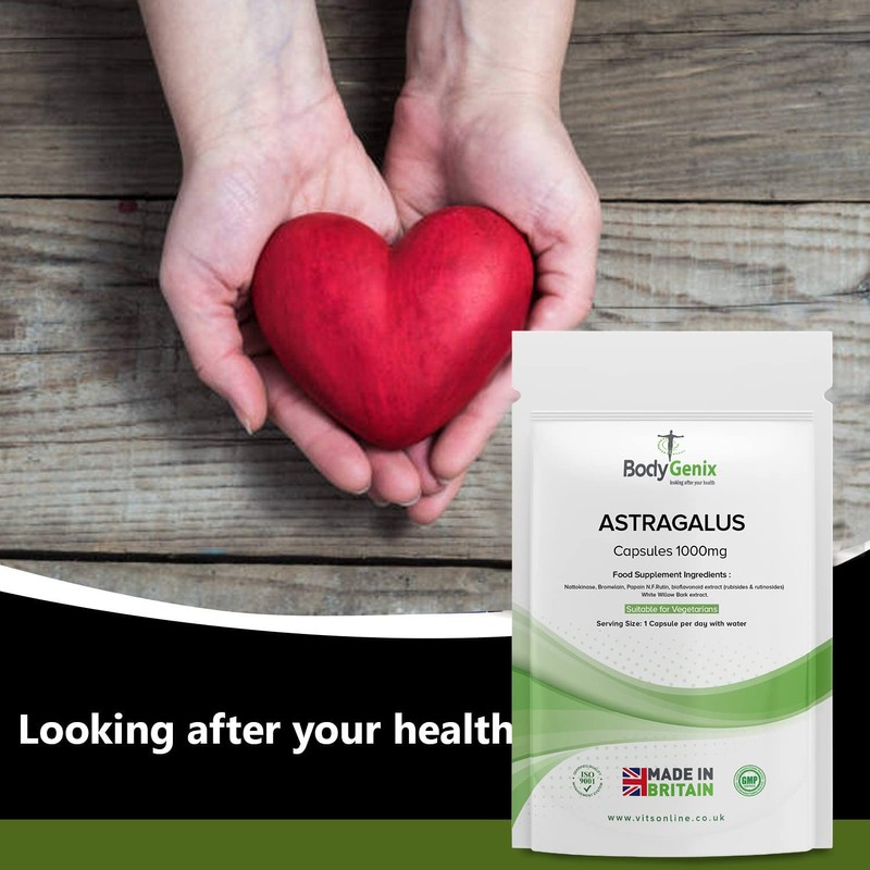 Bodygenix Astragalus 1000mg Capsules Bodygenix UK, Powerful Chinese Supplement High