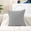 AMAROTI Striped Farmhouse Throw Pillow Covers 20X20 Set of 2