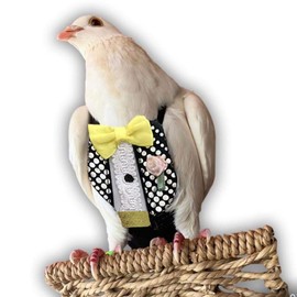 Bev's Birds Boutique Regular Flyper - Bird Diaper (13, Retro Tux)