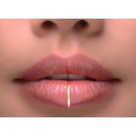 Fake Lip Ring - Gold Fake Lip Jewellery - Fake Lip Piercing - 20G Fake Lip Ring - Fake Lip Ring - Fake Lip Ring