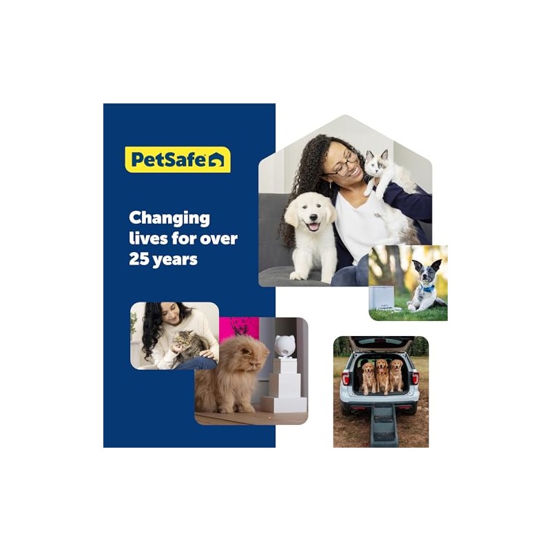 PetSafe Treat Pouch Sport Pet Training and Dog Walking Accessory,