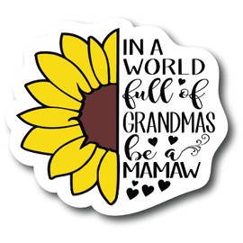 in A World Full of Grandmas Be Mamaw 4.0 inch Refrigerator Magnets – Funny Magnets for Fridge Dishwasher, Whiteboard, Toolbox or Car and Truck PM883