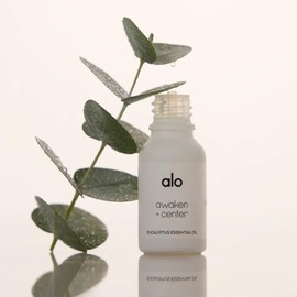 Alo Essential Oil – Eucalyptus | Fresh & Purifying for Breathing & Mental Clarity | Therapeutic Grade | for Diffuser, Shower & Bath | 0.50 oz