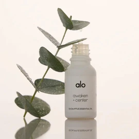 Alo Essential Oil – Eucalyptus | Fresh & Purifying for Breathing & Mental Clarity | Therapeutic Grade | for Diffuser, Shower & Bath | 0.50 oz