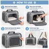 Dog Carrier for Small Medium Cats Puppies up to 15