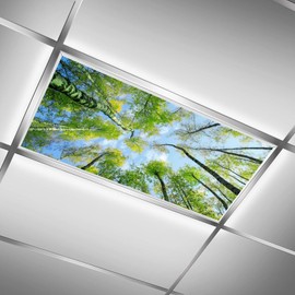 Fluorescent Light Covers - Magnetic & Filters for Classroom, Office Drop Ceiling Lights, 4x2Feet - Spring Forest